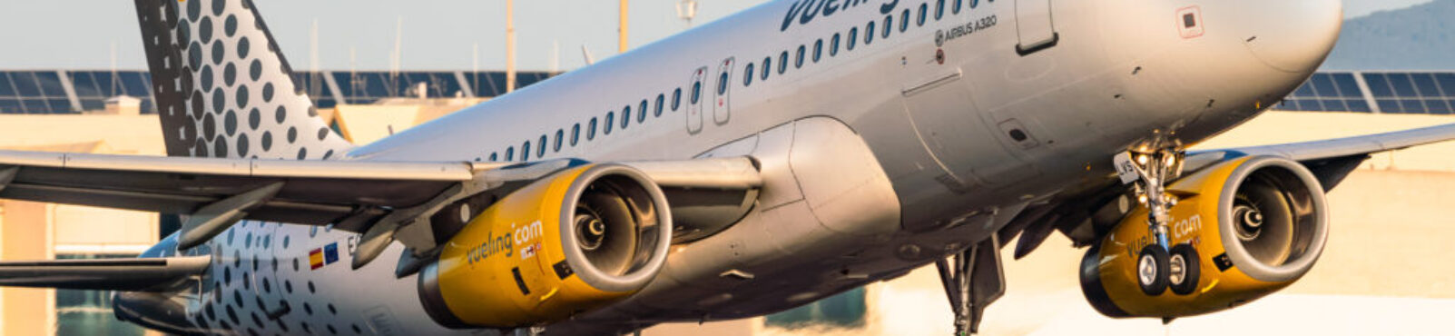 Multa de 90.000€ a Vueling por incumplir la Accesibilidad Web